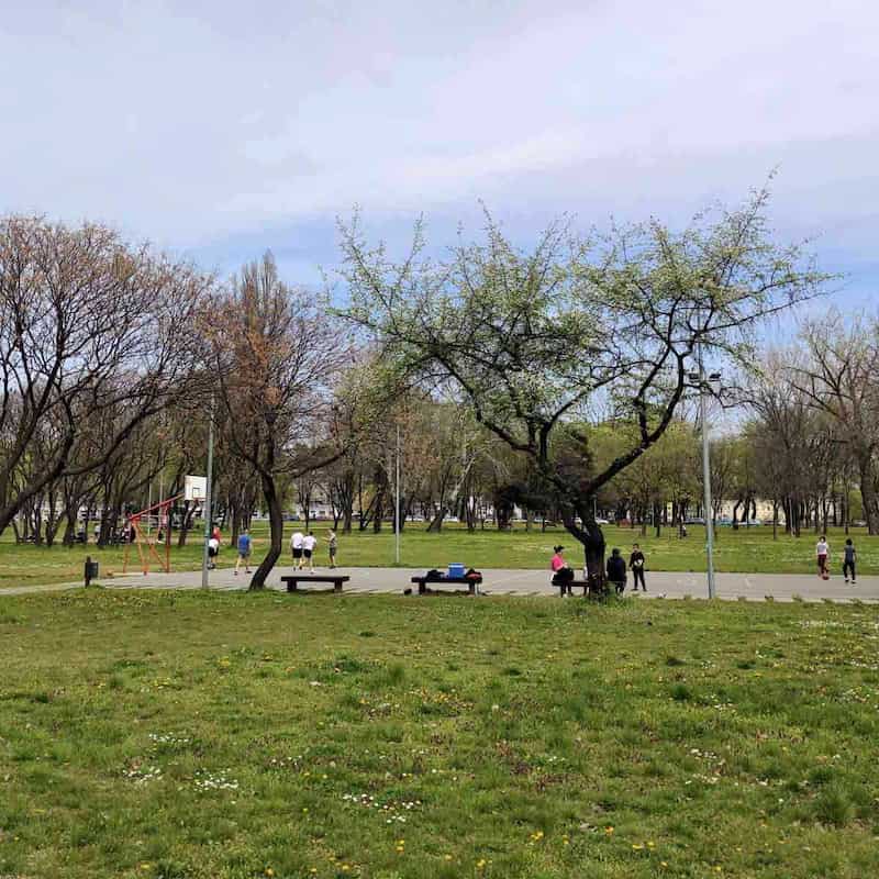 Park Ušće