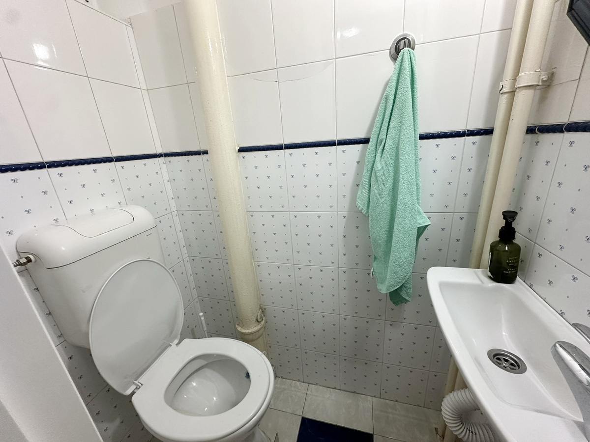 Prodaja stanova Savski venac (Kneza Miloša) - toalet Prodaja stanova savski venac (kneza miloša) toalet